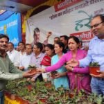 भाजपा मसूरी मंडल ने हरेला पर्व के तहत पांच सौ से अधिक पौधे वितरित किए